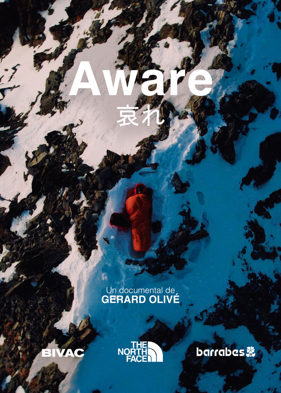 哀れ  aware - Significado em Japonês