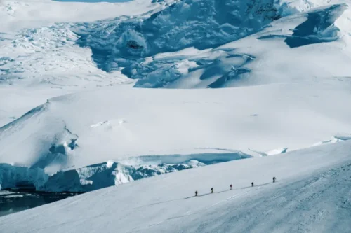 Filme The White Continent
