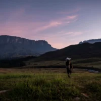 Fabio Matuzawa - Tepui Monte Roraima
