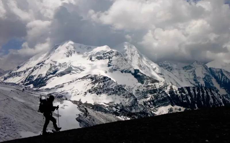 La Traversee Sagitaire